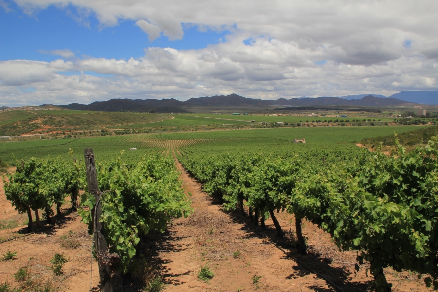 6 Bedroom Property for Sale in Ashton Western Cape